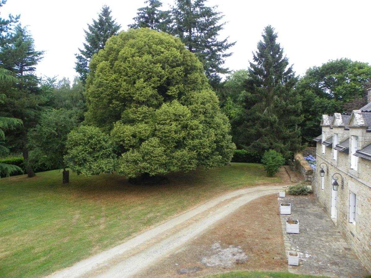 Bed and Breakfast Manoir De Saint-Fiacre Malansac Zewnętrze zdjęcie